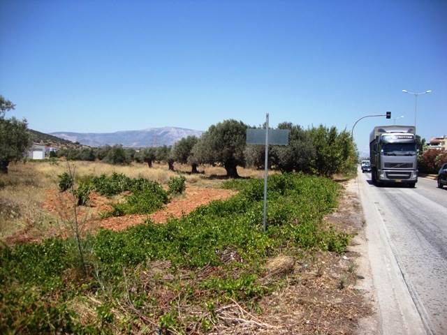 (For Sale) Land Large Land  || East Attica/Markopoulo Mesogaias - 10.000 Sq.m, 1.200.000€ 