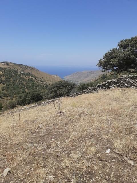 (For Sale) Land Large Land  || Cyclades/Kea-Tzia - 12.430 Sq.m, 150.000€ 