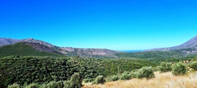 (For Sale) Land Agricultural Land  || Lakonia/Oitylo - 35.000 Sq.m, 75.000€ 