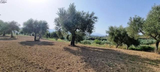 (For Sale) Land Agricultural Land  || Lakonia/Gytheio - 9.890 Sq.m, 70.000€ 