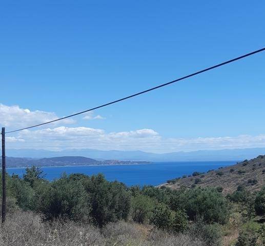 (For Sale) Land Agricultural Land  || Lakonia/Gytheio - 8.693 Sq.m, 129.000€ 