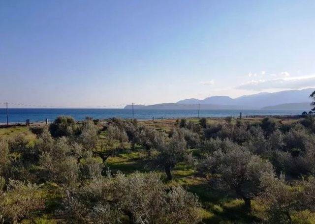 (Προς Πώληση) Αξιοποιήσιμη Γη Αγροτεμάχιο || Ν. Λακωνίας/Γύθειο - 35.000 τ.μ, 3.500.000€ 