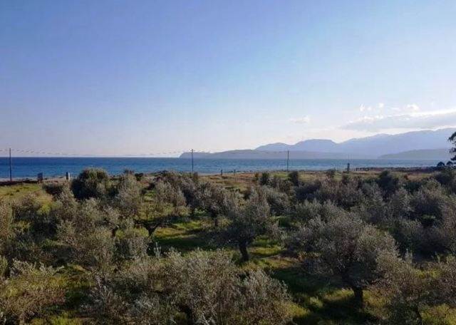 (For Sale) Land Agricultural Land  || Lakonia/Gytheio - 35.000 Sq.m, 2.000.000€ 