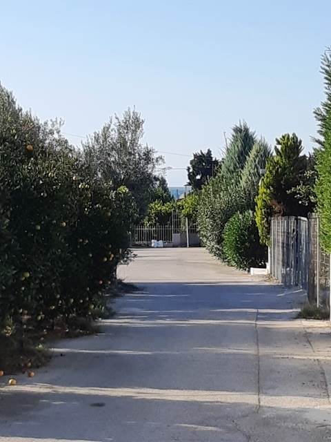 (Προς Πώληση) Αξιοποιήσιμη Γη Οικόπεδο || Ν. Κορινθίας/Λουτράκι-Περαχώρα - 811 τ.μ, 140.000€ 