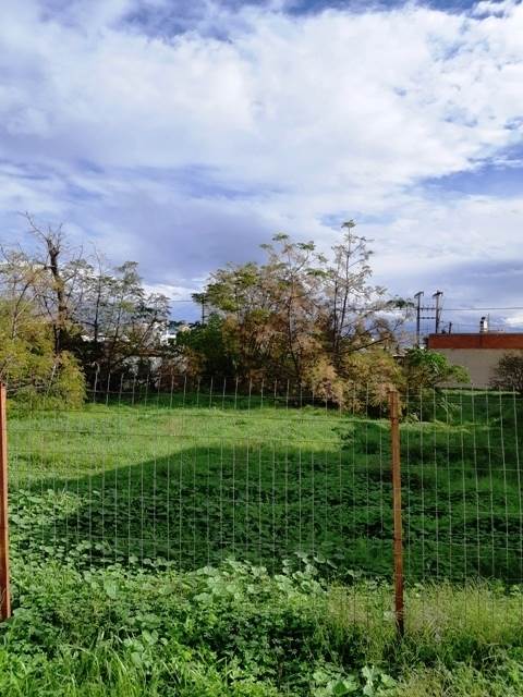 (For Sale) Land Plot || Korinthia/Agioi Theodoroi - 775 Sq.m, 210.000€ 
