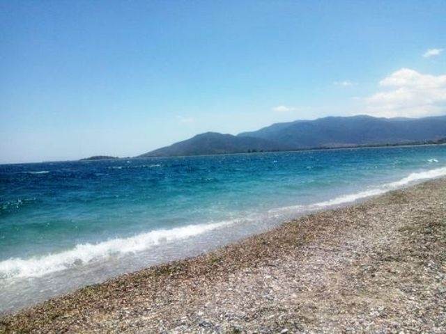 (Προς Πώληση) Αξιοποιήσιμη Γη Οικόπεδο || Ν. Αρκαδίας/Βόρεια Κυνουρία - 2.031 τ.μ, 1.500.000€ 