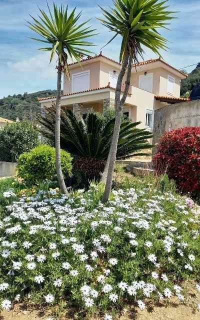 (For Sale) Residential Detached house || Evoia/Marmari - 220 Sq.m, 4 Bedrooms, 780.000€ 