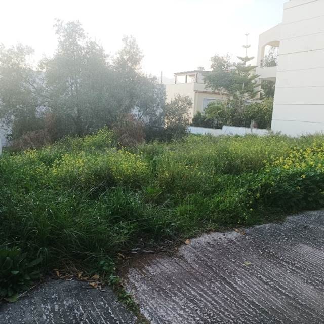 (For Sale) Land Plot || East Attica/Rafina - 483 Sq.m, 120.000€ 