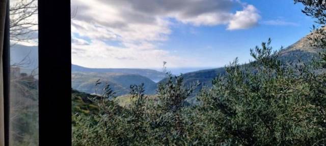 (Προς Πώληση) Κατοικία Μονοκατοικία || Ν. Λακωνίας/Οίτυλο - 295 τ.μ, 4 Υ/Δ, 88.000€ 