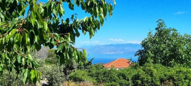 (Προς Πώληση) Κατοικία Μονοκατοικία || Ν. Κορινθίας/Ξυλόκαστρο - 162 τ.μ, 4 Υ/Δ, 70.000€ 