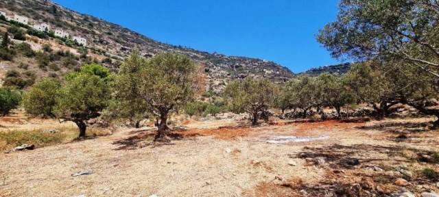 (For Sale) Land Plot || Lakonia/Oitylo - 1.000 Sq.m, 85.000€ 