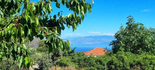 (For Sale) Residential Detached house || Korinthia/Xylokastro - 162 Sq.m, 4 Bedrooms, 70.000€ 