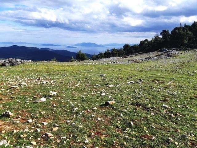 (Προς Πώληση) Αξιοποιήσιμη Γη Έκταση || Ν. Κορινθίας/Σολυγεία - 100.000 τ.μ, 200.000€ 