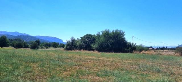 (Προς Πώληση) Αξιοποιήσιμη Γη Αγροτεμάχιο || Ν. Αρκαδίας/Τρίπολη - 30.000 τ.μ, 60.000€ 