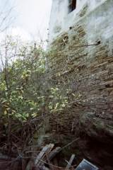 slide thumbnail